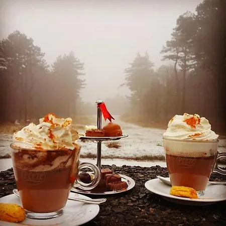 Landgoed Huize Glory Bergen aan Zee